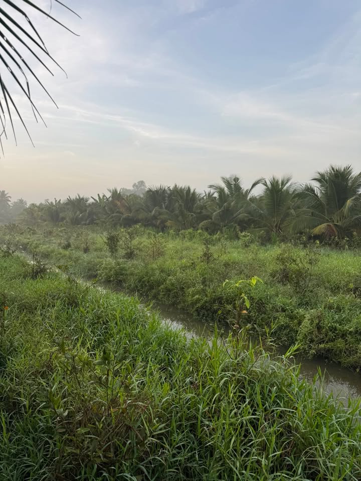 Đất vườn 2000m² xã Long Định Châu Thành 600 triệu - Bán gấp trước Tết!