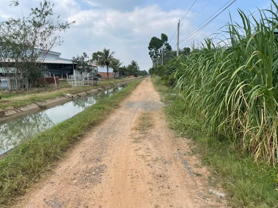 Đất Bàu Năng, Dương Minh Châu 140m² giá 350 triệu - Cơ hội đầu tư hấp dẫn!