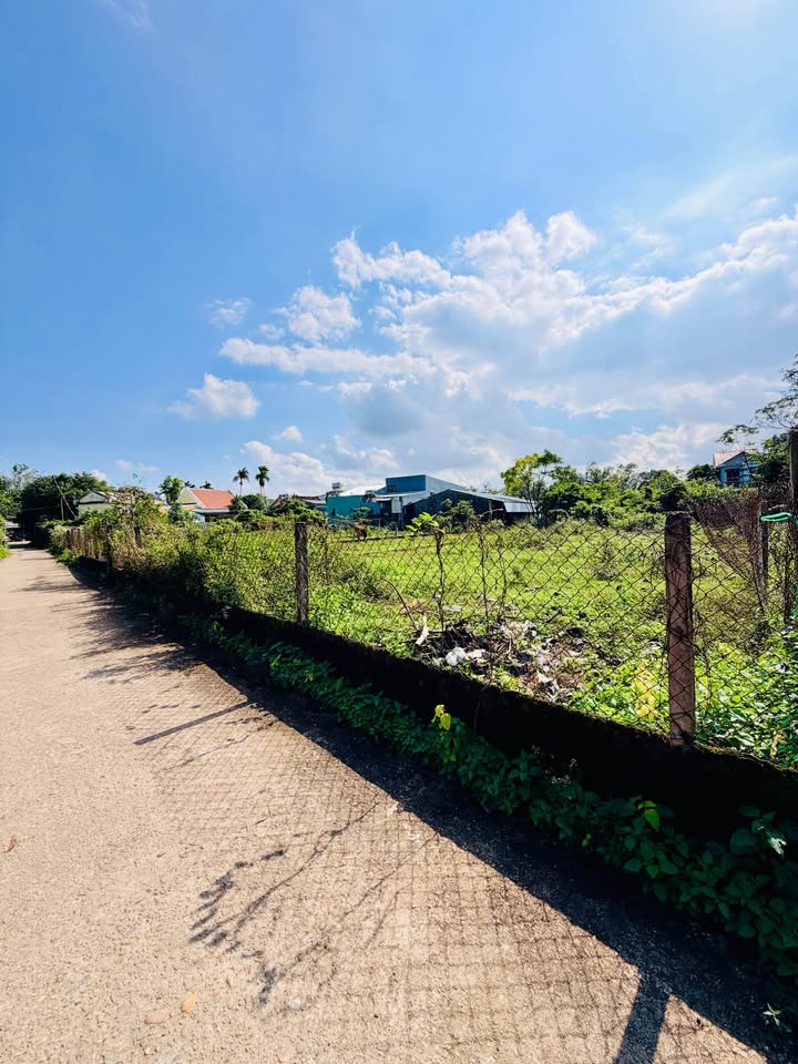 Đất nền Điện Thắng Nam 204m² giá 1.5 tỷ - Đường thông, gần chợ Hàn Quốc!