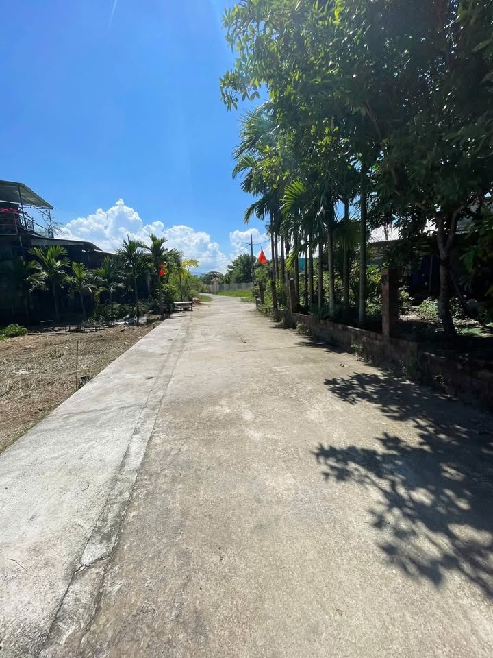 Đất nền Hòa Tiến Đà Nẵng 125m² giá 1.2 tỷ - Vị trí đắc địa gần đường Vành Đai!