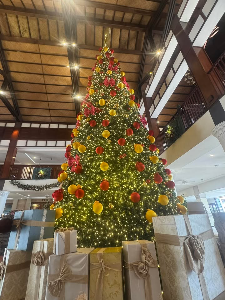 Đất nền lô góc Ngũ Hành Sơn Đà Nẵng 137m² giá 9.5 tỷ - Đầu tư sinh lời ngay!