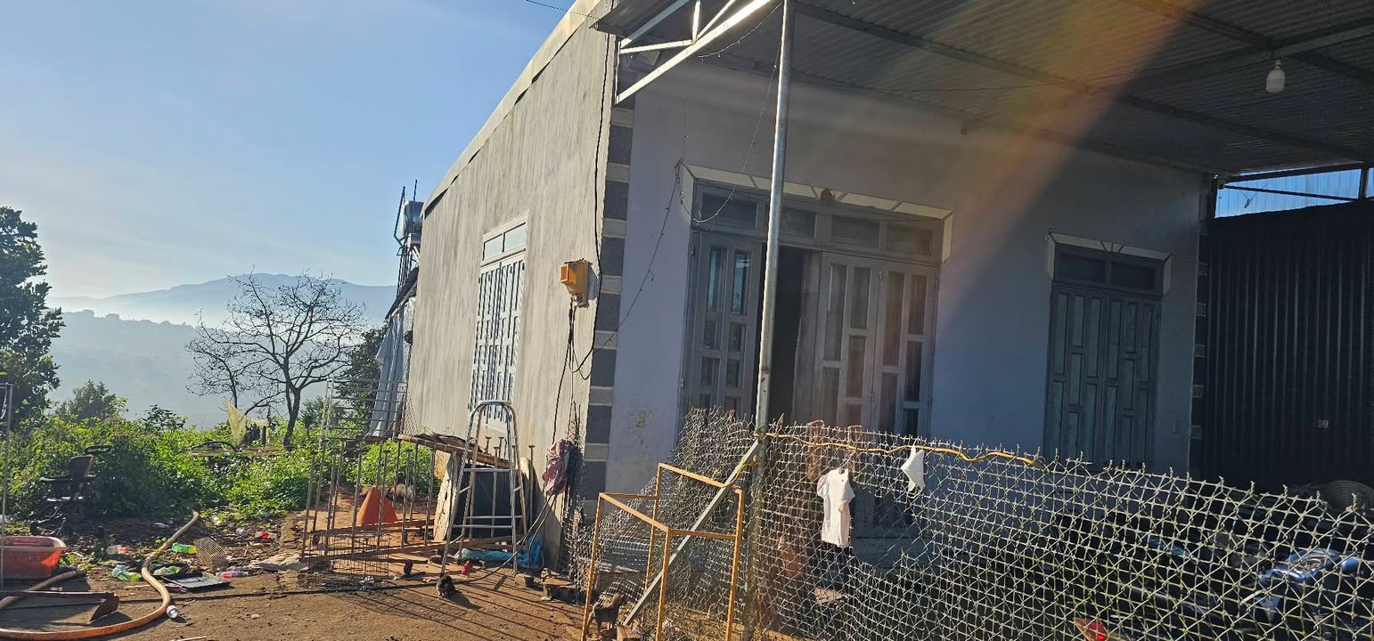 Đất thổ cư Tân Nghĩa 405.6m² giá 1.6 tỷ - Nhà cấp 4 mới đẹp, ôm 2 mặt đường!