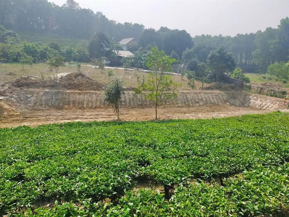 Đất nghỉ dưỡng Cao Dương, Hòa Bình 3576m² - Cơ hội đầu tư tuyệt vời!