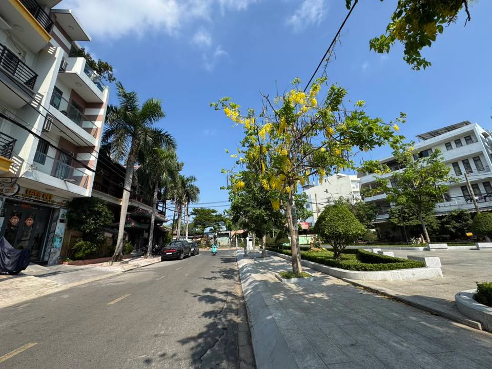 Biệt thự gỗ lim độc bản Trần Văn Kiểu, Q6 - 200m² giá 65 tỷ - View công viên cực thoáng!