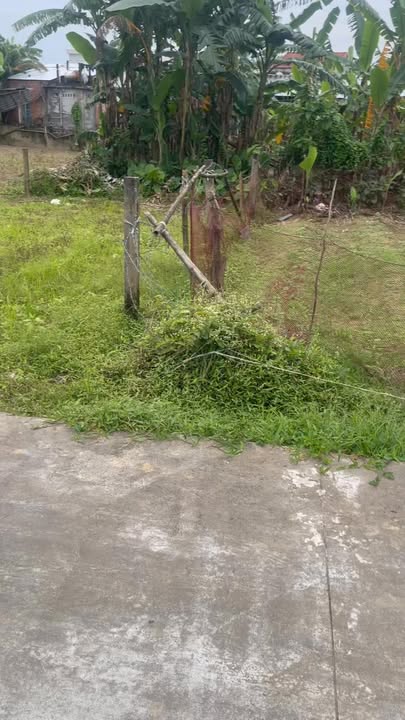 Đất nền khu phố Châu Hiệp, Nam Phước 99m² giá chỉ 600 triệu - Đầu tư sinh lời ngay!