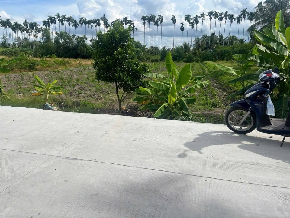 Đất thổ cư và vườn 1340m² tại Ấp Bùng Binh, Đức Hòa - Giá chỉ 2.4 tỷ!