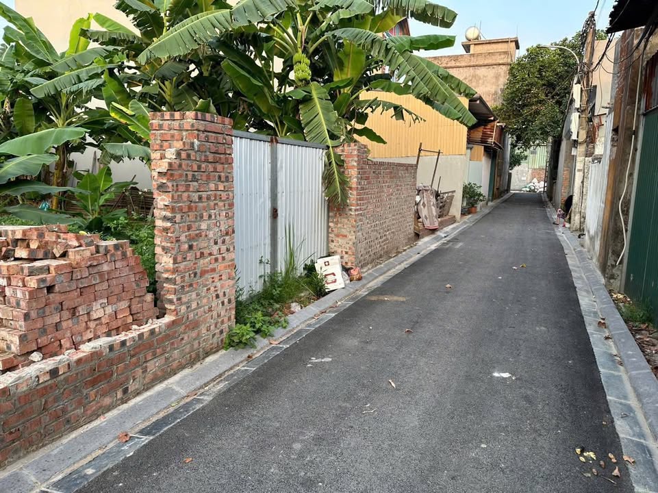 Lô đất Thụy Lâm Đông Anh 100.5m² giá chỉ 6 tỷ - Cơ hội đầu tư hiếm có!