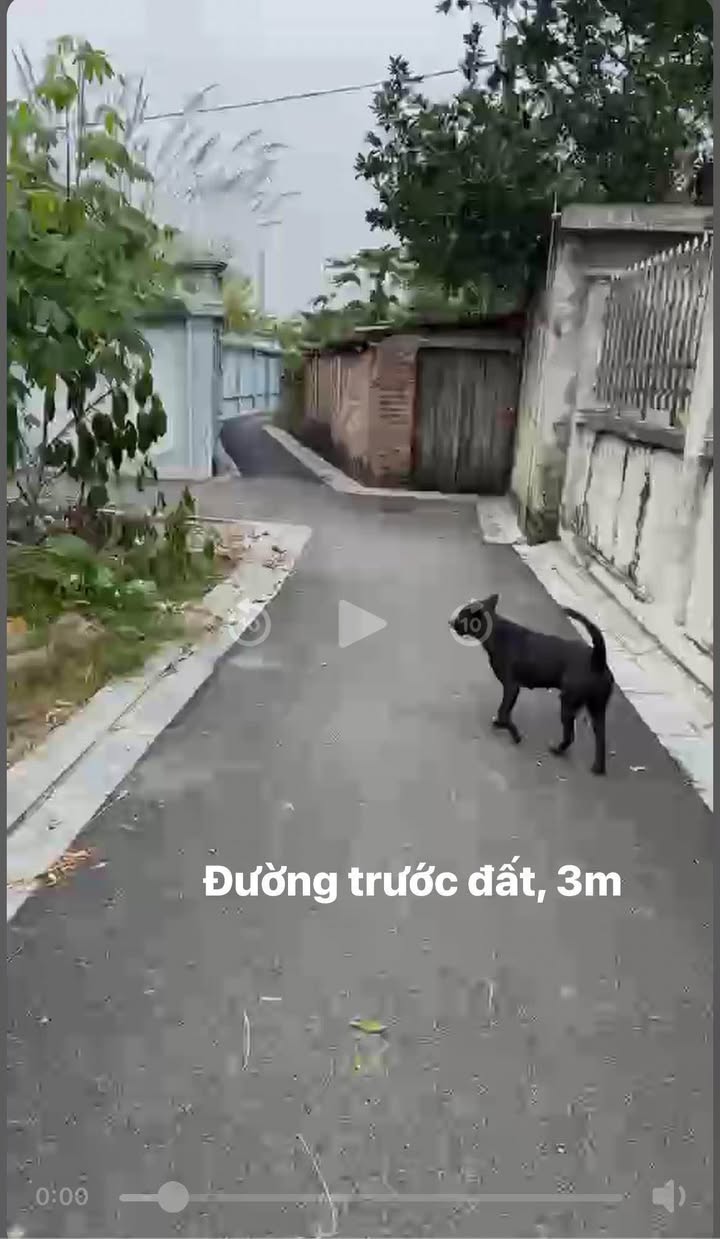 Lô đất Việt Hùng 65m² giá 2.9 tỷ - Đường ô tô vào tận nơi!