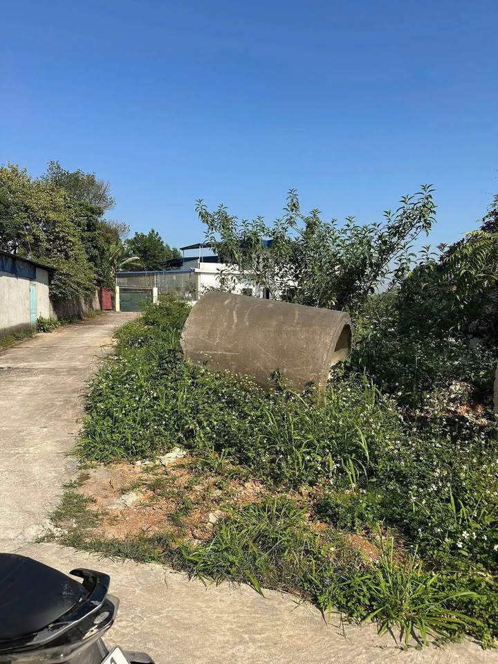 Đất 3 mặt tiền KDC 11 Thịnh Đán 202m² giá chỉ 20 triệu/m² - Đầu tư thông minh!