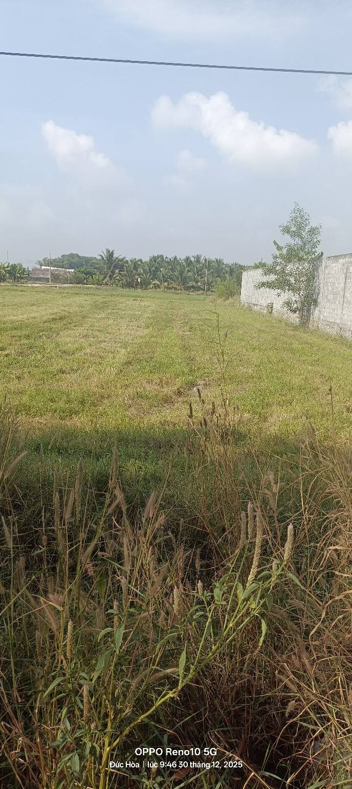 Lô đất Hòa Khánh Đông, Đức Hòa 1141.3m² giá 280 triệu - Pháp lý sổ đỏ, tiện ích đầy đủ!