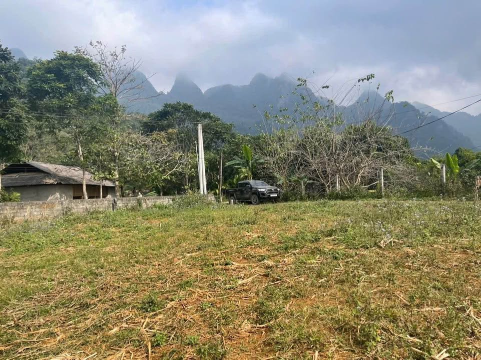 Đất nền Phong Quang 439m² giá thỏa thuận - Đầu tư sinh lời ngay!