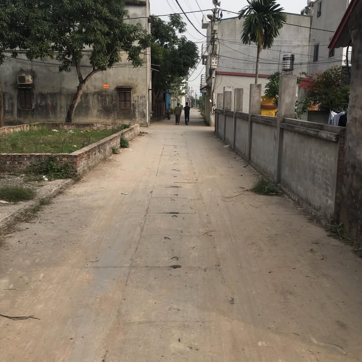 Đất nền 85m² Ấp Tre, Quang Minh, Mê Linh, Hà Nội - Gần KCN Quang Minh