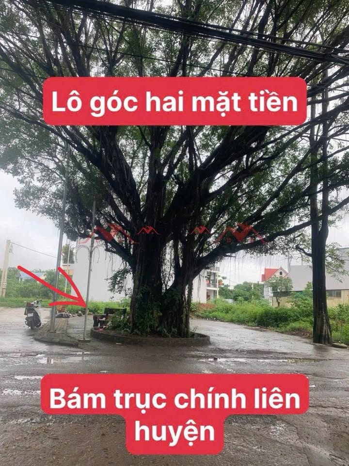 Đất đấu giá 2 mặt tiền Đông Sơn, Chương Mỹ, Hà Nội 99m² - Cơ hội đầu tư lý tưởng!