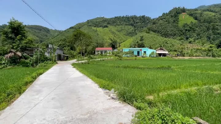 Đất nghỉ dưỡng Thượng Long - Yên Lập 1000m² giá 800 triệu - Cơ hội đầu tư lý tưởng!