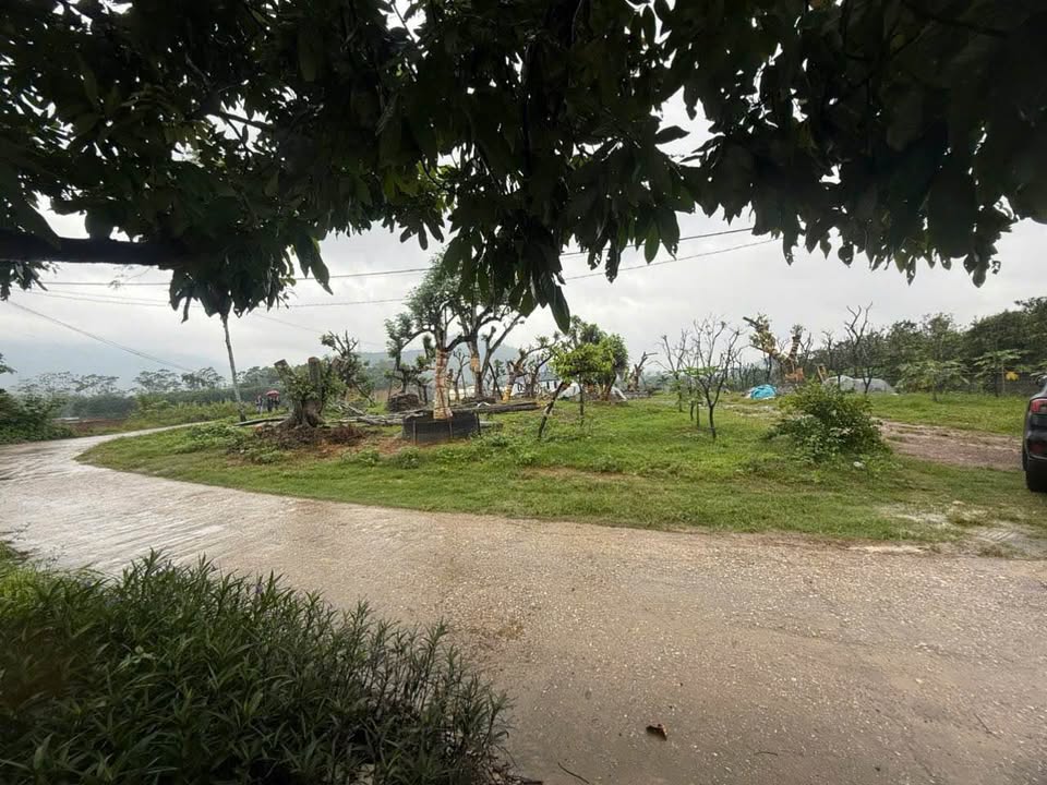 Lô đất Farm 3712m² tại Hòa Sơn, Lương Sơn - Đầu tư nghỉ dưỡng lý tưởng!