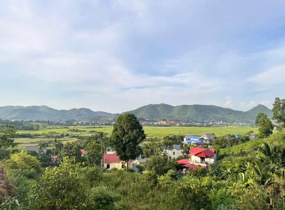 Đất thổ cư 3091m² tại Tiến Xuân, Thạch Thất - Giá chỉ 5 triệu/m², đầu tư sinh lời!