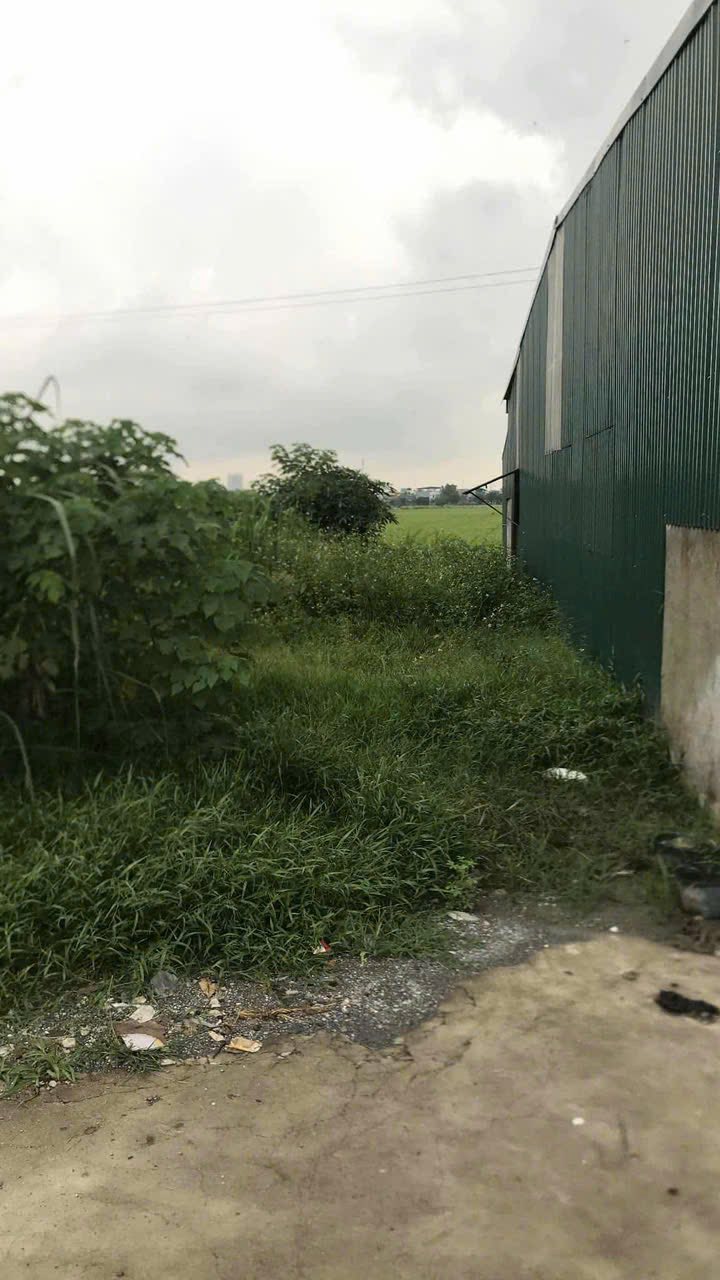 Đất nền Lê Hồng Phong Phủ Lý 80m² giá 1.8 tỷ - Vị trí kinh doanh lý tưởng!