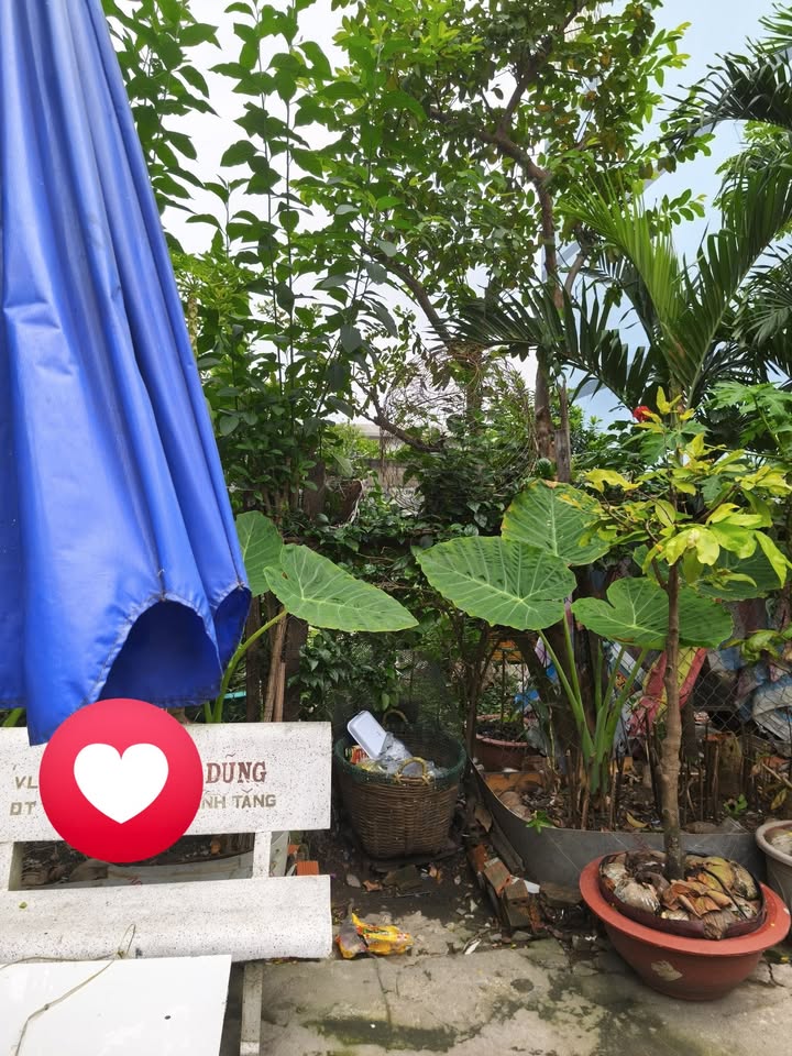 Bán đất đường An Dương Vương, phường Bình Phú, quận 8 - Giá 7 tỷ, sổ hồng chính chủ!