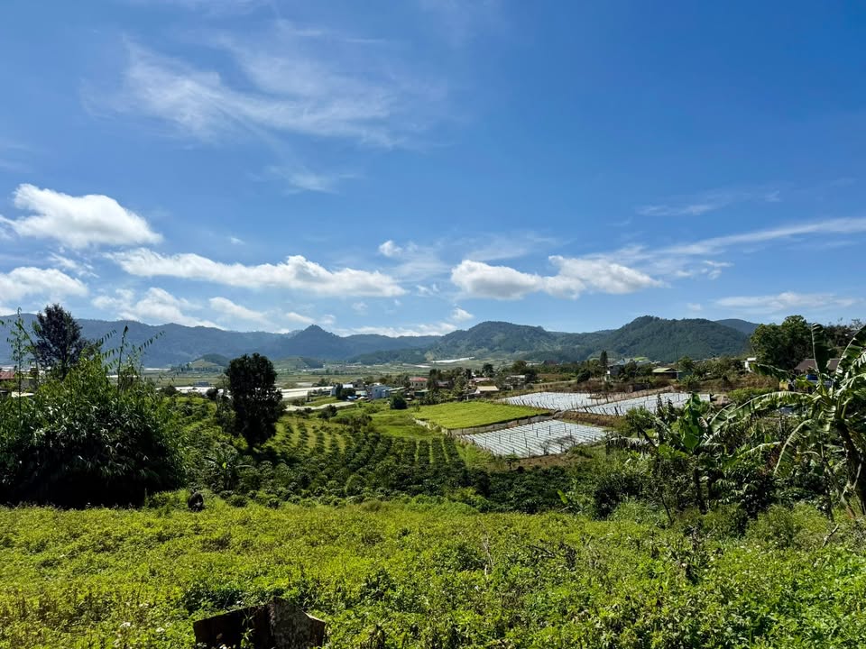 Đất thổ cư 150m² tại Quảng Lập, Lâm Đồng chỉ 390 triệu - Cơ hội vàng đầu tư!