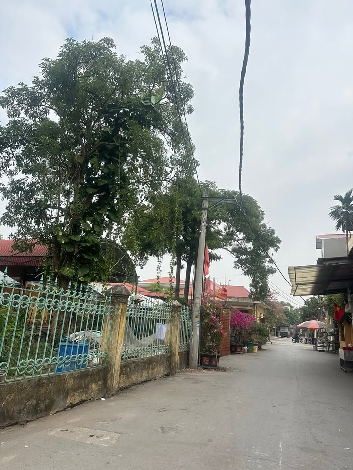 Đất thổ cư Song Liễu, Thuận Thành 50m² - Giá thỏa thuận - Đầu tư sinh lời!