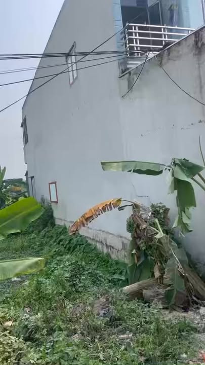 Đất nền xã Minh Nghĩa, huyện Nông Cống, 100m² - Vị trí vàng gần 3 trường học