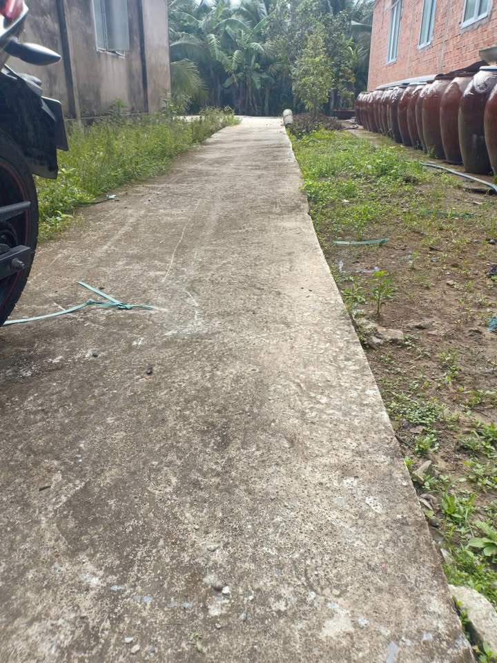 Đất vườn dừa Quới Sơn, Bến Tre 1434m² giá 900 triệu - Tiềm năng sinh lời cao!