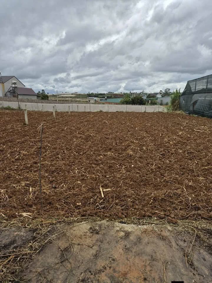 Đất thổ cư Thạnh Mỹ Đơn Dương 75m² giá 670 triệu - Tiềm năng đầu tư lớn!