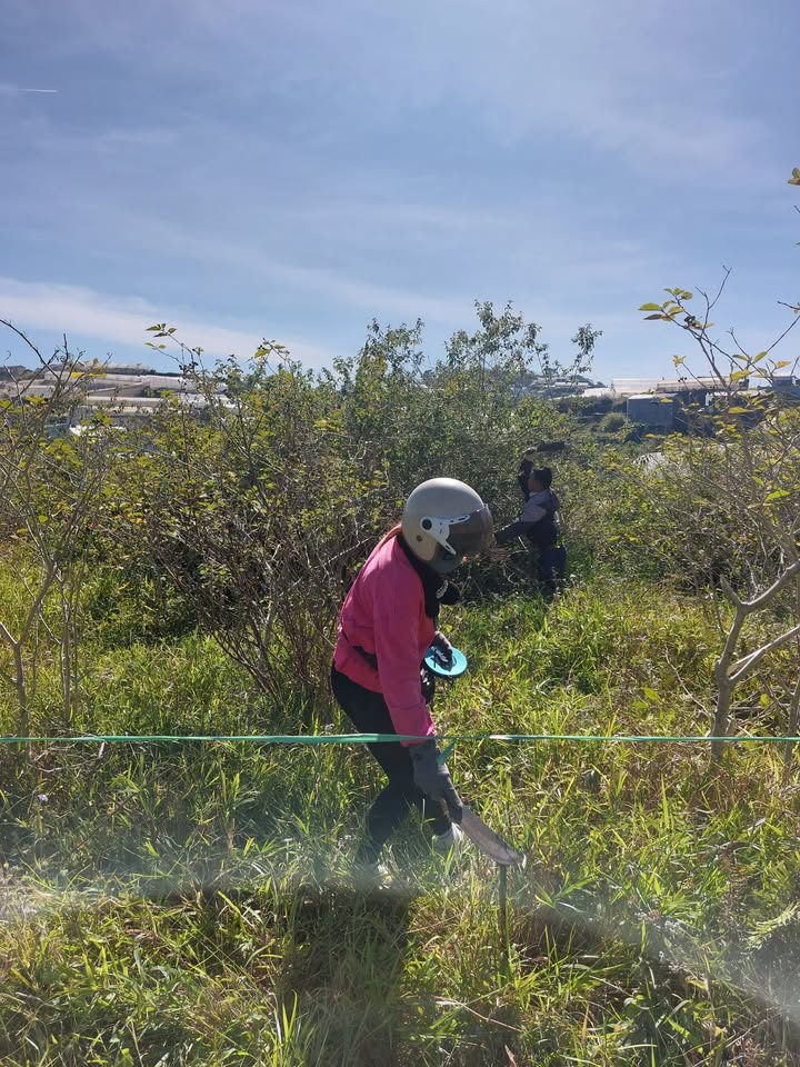 Đất nền tại Đà Phú, Đà Lạt 70m² giá 360 triệu - Đường ô tô vào tận nơi!