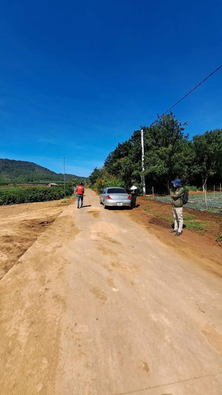 Đất nền Liên Hiệp, Đức Trọng 250m² chỉ 1.1 tỷ - Đầu tư sinh lời ngay!