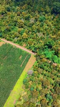 Đất nền thương mại Krông Pắc Đắk Lắk 6000m² giá 7.5 tỷ - Tiềm năng đầu tư lớn!