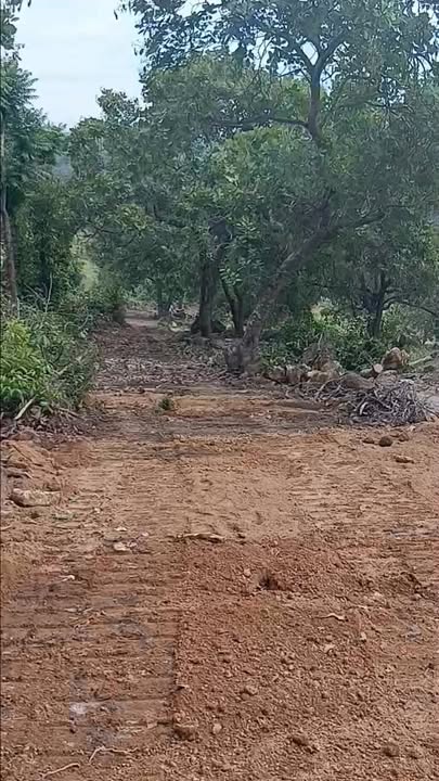 Đất nền Đa Kai 11.000m² giá 1.54 tỷ - Cơ hội đầu tư sinh lời!