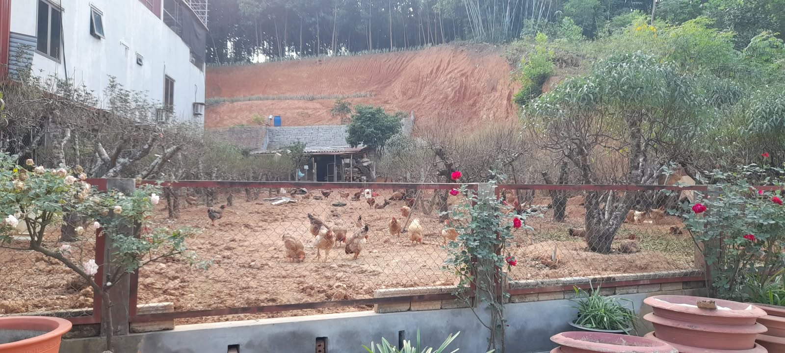 Đất nền tổ dân phố 9 Nông Tiến 123m² giá 1.83 tỷ - Cơ hội đầu tư tuyệt vời!