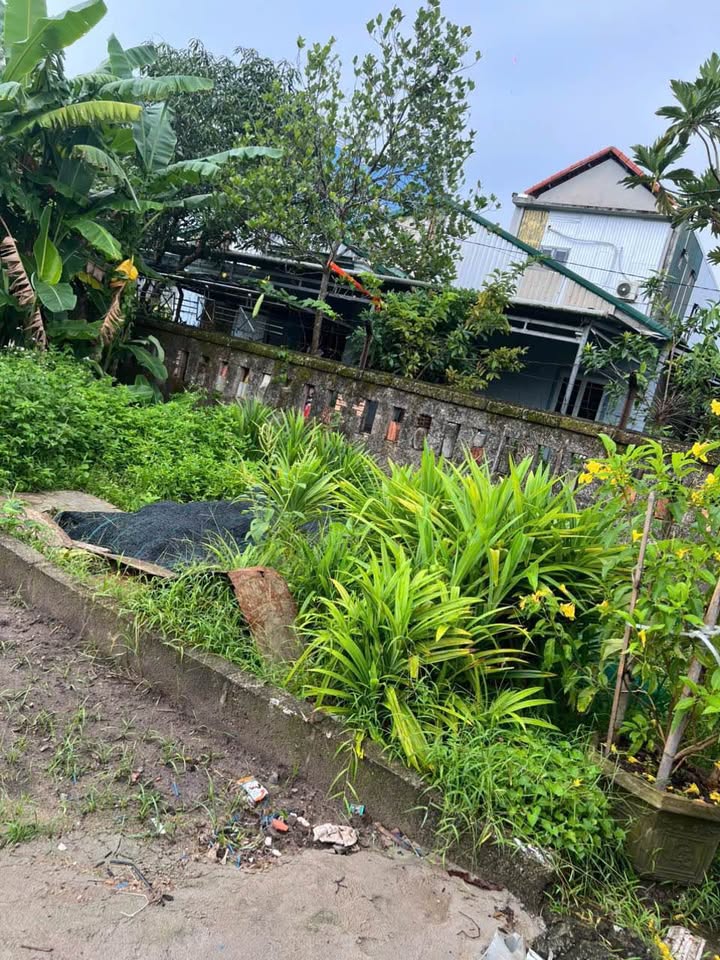 Đất nền Hương Thủy, Huế 70m² giá 800 triệu - Đầu tư sinh lời nhanh chóng!