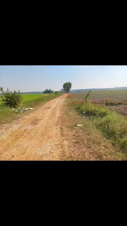 Đất nền Ấp Bến Cừ, Ninh Điền 2500m² giá chỉ 400 triệu - Bán gấp trong Tết!