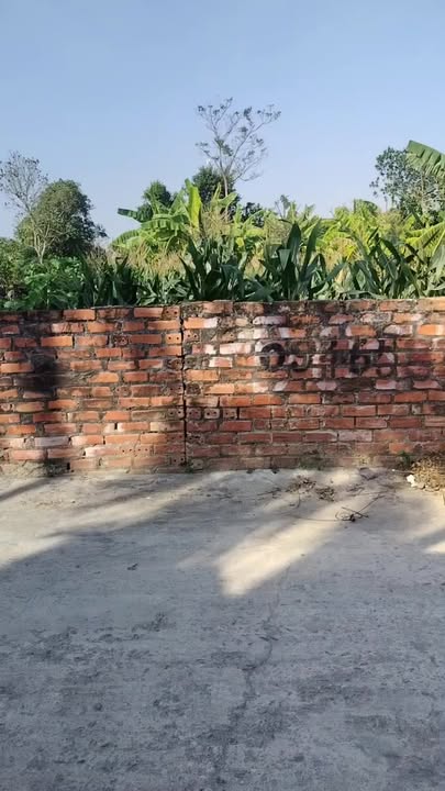 Đất thổ cư xã Minh Hòa, huyện Hưng Hà 130m² - Giá thỏa thuận hấp dẫn!