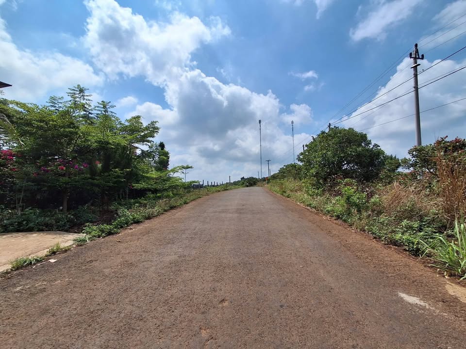 Lô đất mặt tiền Tỉnh Lộ 697C, Krông Buk, Đắk Lắk - 712m² chỉ 459 triệu - Tiềm năng tăng giá mạnh!