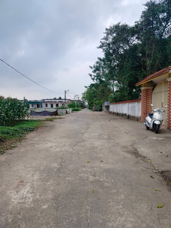 Đất nền Khánh Hội, Yên Khánh 151.1m² và 122m² - Đường thông tứ phía, đầu tư sinh lời ngay!