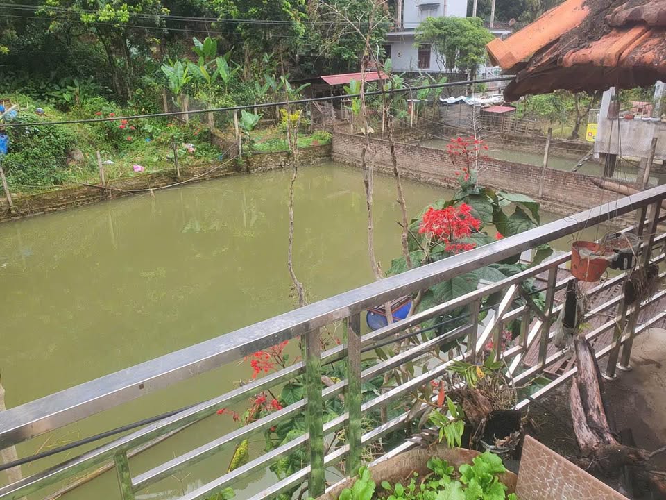 Đất ao vườn mặt đường Lò Văn Giá Sơn La 720m² - Cơ hội đầu tư tuyệt vời!