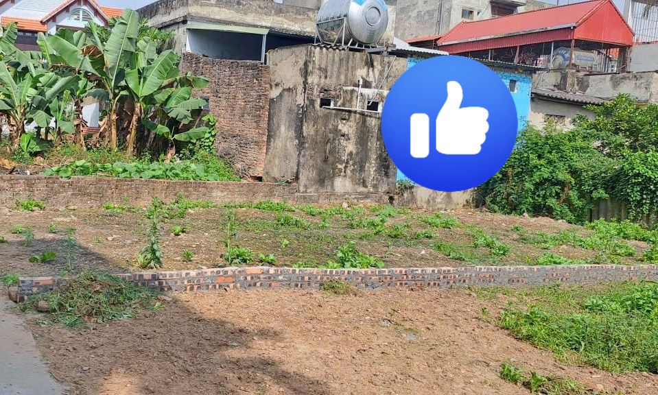 Đất Vạn Phúc, Thanh Trì 50m² giá 2 tỷ - Vị trí thuận lợi chỉ 15m tới đường ô tô!