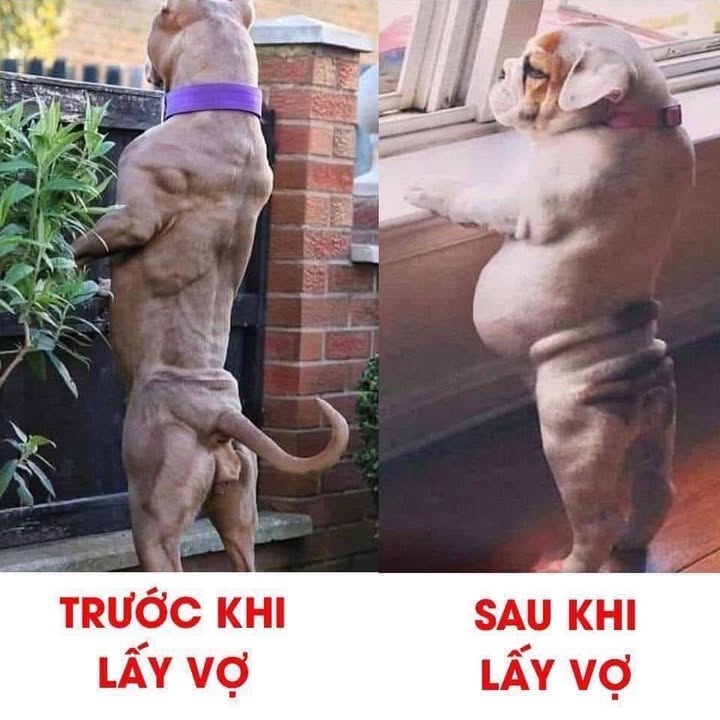 Đất thổ cư Đăk Rơ Wa 540m² giá 400 triệu - Đường ô tô vào tận nơi!