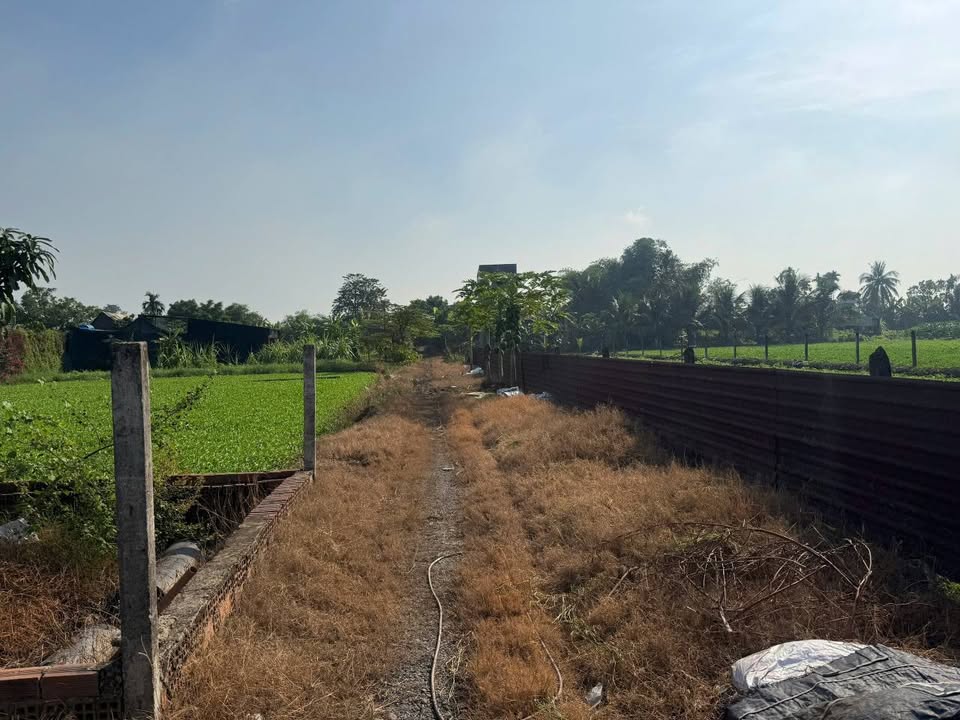 Đất nền Củ Chi 64.5m² giá chỉ 250 triệu - Đầu tư sinh lời ngay!