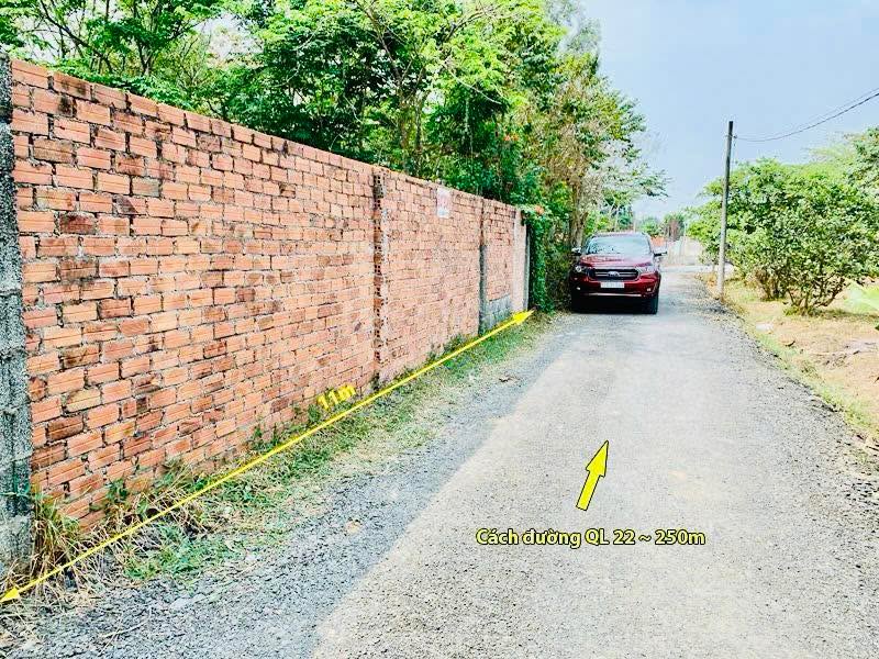 Đất thổ cư Tân Thông Hội, Củ Chi 341m² - Thiết kế tự do, giá hấp dẫn!