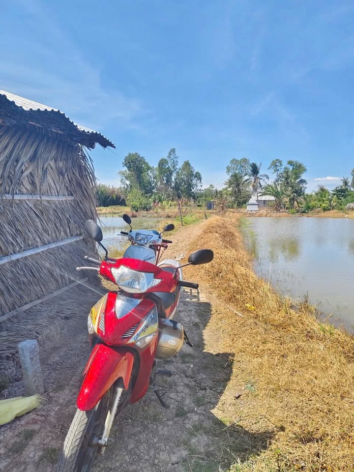 Đất mặt tiền kênh Ấp Vĩnh B, xã Gia Hòa 1, Mỹ Xuyên 11.000m² giá 1.3 tỷ - Đầu tư sinh lời ngay!