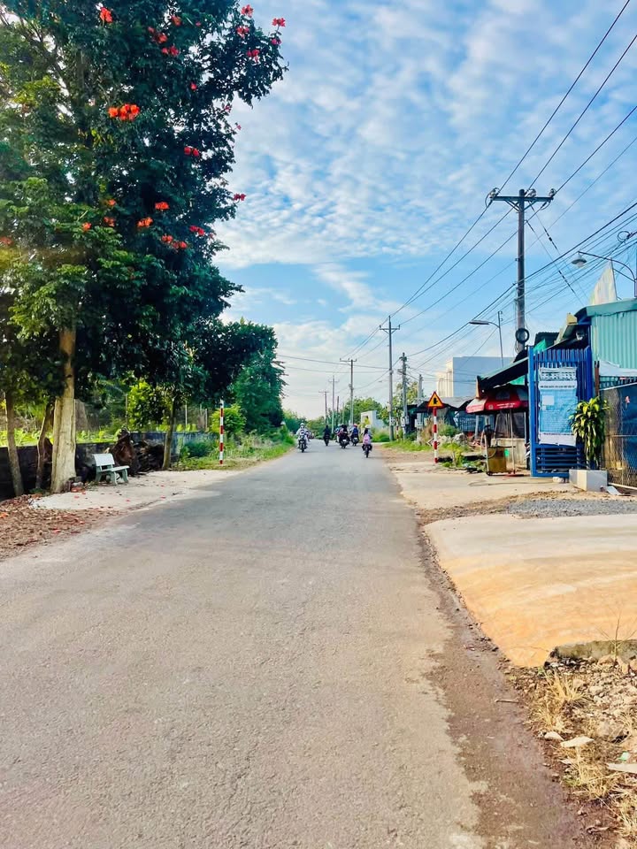 Đất thổ cư mặt tiền đường Martin, Gia Kiệm 170m² giá 1 tỷ - Pháp lý rõ ràng!