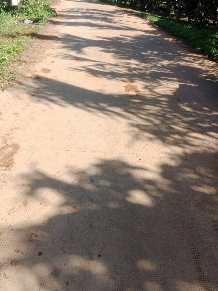 Đất nền Đinh Trang Thượng Di Linh 5 sào - Mặt tiền 7m, sổ đỏ chính chủ!