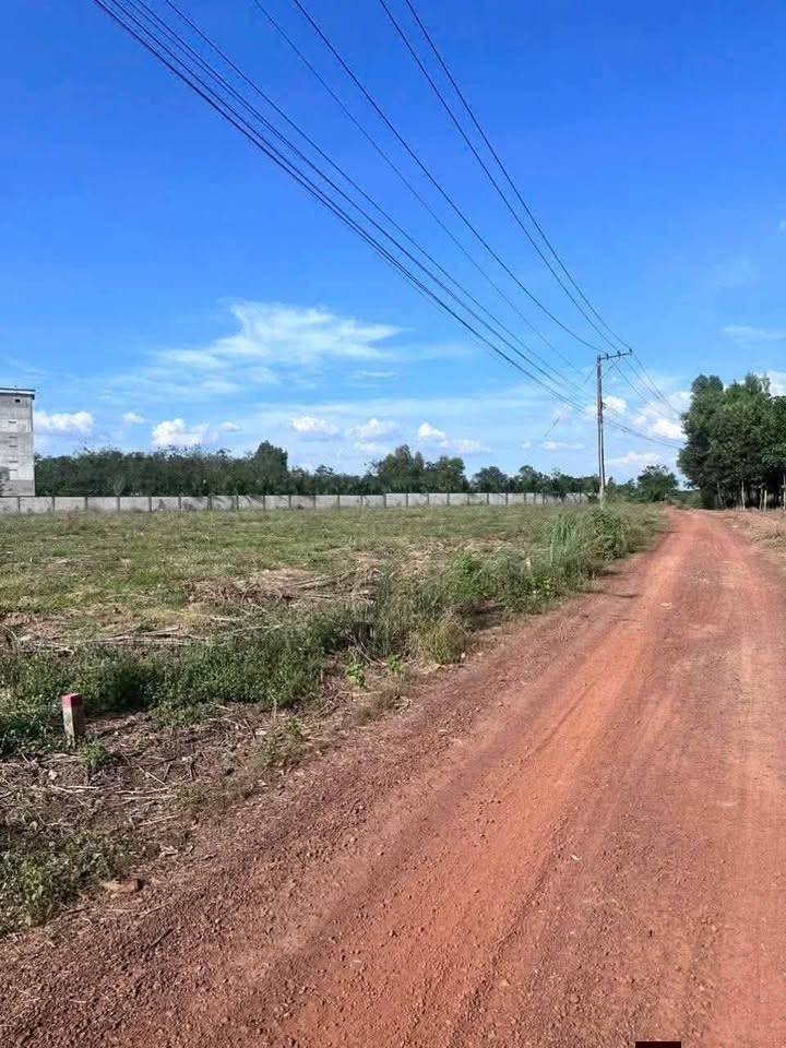 Đất nền An Linh, Phú Giáo 440m² giá 770 triệu - Đường thông, dân cư hiện hữu!