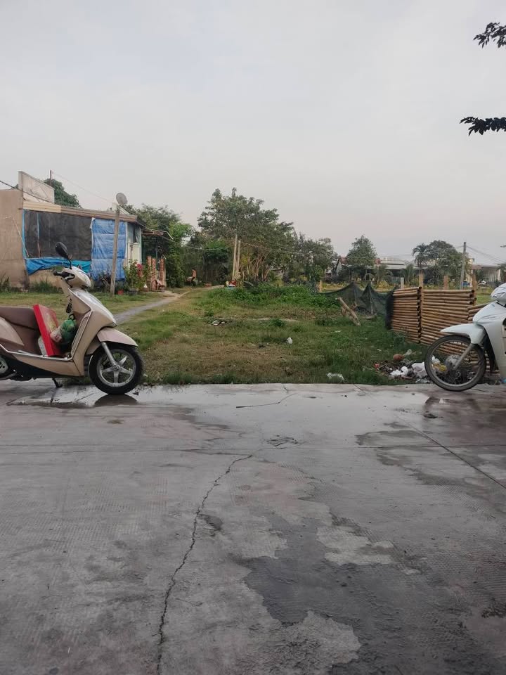 Đất thổ cư Mỹ Hạnh Nam 150m² giá 1.25 tỷ - Sổ đỏ chính chủ, đầu tư sinh lời!