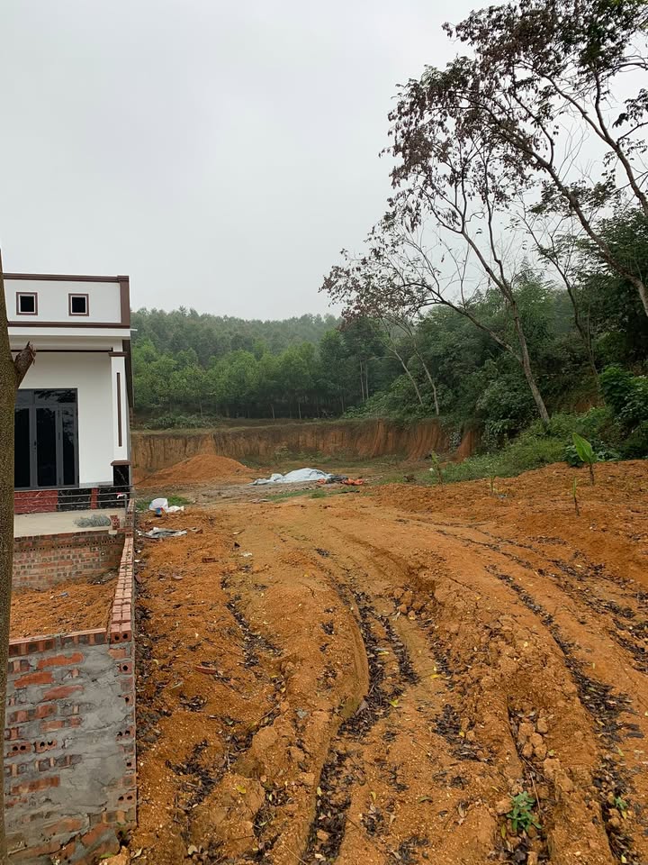 Đất nền Phú Hộ 330m² giá 700 triệu - Đầu tư sinh lời ngay!