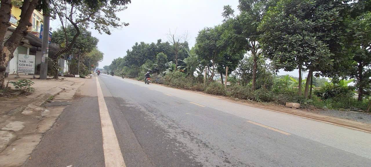 Đất nền Dục Tú Đông Anh 36m² giá 3 tỷ - Đầu tư sinh lời ngay!