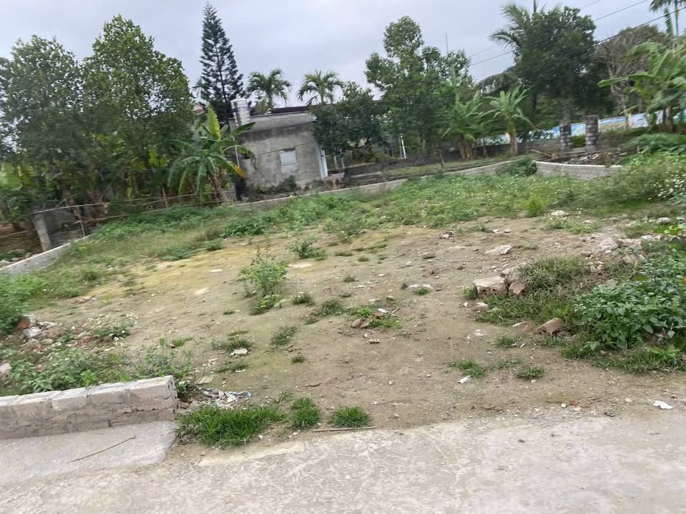 Đất chính chủ 312,4 m² tại Đại An, Vụ Bản, Nam Định - Giá chỉ 2,5 tỷ có thương lượng!